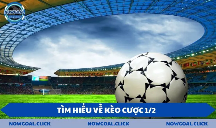 Tìm hiểu về kèo cược 1/2